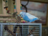 _3080118@0,25x.jpg