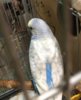 811333E2-AEBD-4C7F-9B68-47BB75535AD6.jpeg
