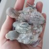 20180316_094019.jpg