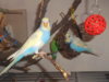 DSCN2578.JPG