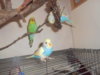 DSCN2582.JPG