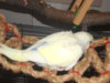 DSCN2590.JPG