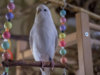 _3160220@0,25x.jpg