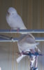 _3160123@0,25x.jpg