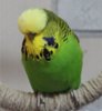 IMG_4489.JPG