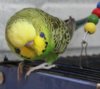 IMG_4450.JPG