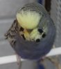 IMG_4446.JPG