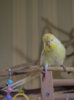 _3160165@0,25x.jpg