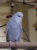 _3160154@0,25x.jpg