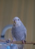 _3160178@0,25x.jpg