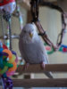 _3160283@0,25x.jpg