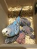 982710AD-B0C4-4FF6-B86D-714DC3DBD076.jpeg