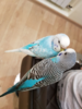 upload_2018-3-23_20-22-13.png