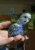 805125CE-0BFA-438E-AC4B-98DA67D81587.jpeg