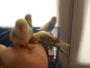 DSCN2637.JPG