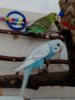 IMG-20180323-WA0035.jpg