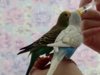 IMG-20180323-WA0012.jpg