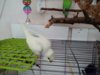 IMG-20180323-WA0074.jpg