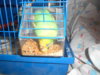 DSCN2631.JPG