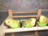 DSCN2597.JPG