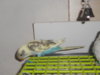 DSCN2626.JPG