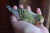 DSC_5473.JPG