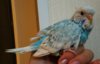 IMG_20180325_193546.jpg