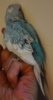 IMG_20180325_193616.jpg