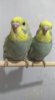 IMG_20180320_102221.jpg