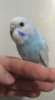 IMG_20180325_145228.jpg