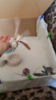 E6B3A18A-A9B3-46D7-A729-53C63DDD362B.png