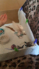 009D609E-BFDE-4B6B-82B8-8363B4AFAB04.png