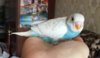 A692EAD9-EE7E-4302-989D-522EA0382168.jpeg