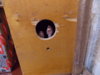 DSCN0484.JPG