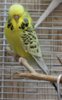 IMG_5346.JPG