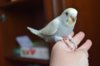 DSC_5500.JPG