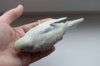 DSC_5509.JPG