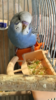 06EBFC27-E2D8-414E-912F-C666D683FDDB.png