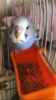 D1AD2FCD-4D16-41B0-AB73-57B4F2E1BD82.png