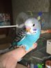 DB6004D9-EE9E-47E9-AAC7-1F2E0C39BB27.jpeg