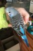 C3EDA720-BE5E-4758-BAAC-9010DA6A6CBB.jpeg
