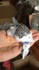 A6CB3A84-D922-4310-8DAB-A664764E900A.jpeg