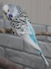 IMG_5446.JPG