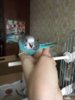 4887B9B4-5DF7-4DF5-A98F-4C792886372B.jpeg
