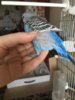 7B8E42CF-BE73-47BA-A7DC-860185F91BFC.jpeg