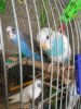 77E02349-A0F6-41E3-BEC4-FAB71B7A776F.jpeg
