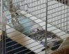 IMG_20180402_195405.jpg