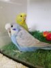 20180331_095323.jpg