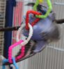 IMG_5551.JPG
