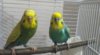 IMG_20180208_223816.jpg